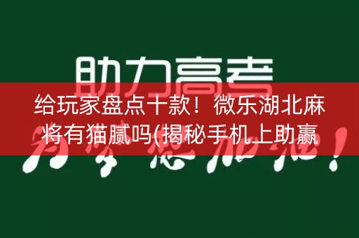 给玩家盘点十款！微乐湖北麻将有猫腻吗(揭秘手机上助赢神器)