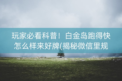 玩家必看科普！白金岛跑得快怎么样来好牌(揭秘微信里规律攻略)