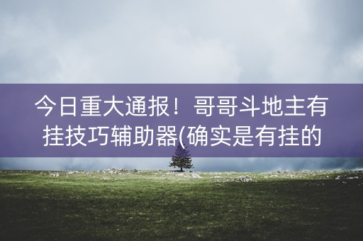 今日重大通报！哥哥斗地主有挂技巧辅助器(确实是有挂的)