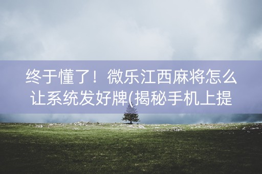 终于懂了！微乐江西麻将怎么让系统发好牌(揭秘手机上提高赢的概率)
