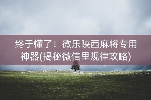 终于懂了！微乐陕西麻将专用神器(揭秘微信里规律攻略)