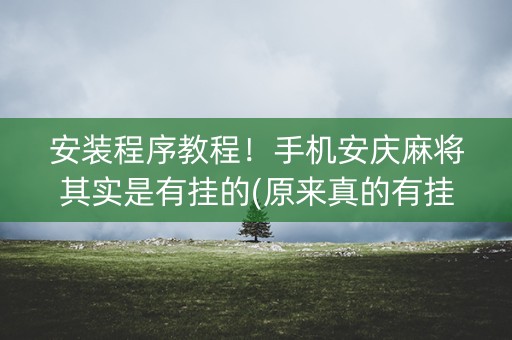 安装程序教程！手机安庆麻将其实是有挂的(原来真的有挂)