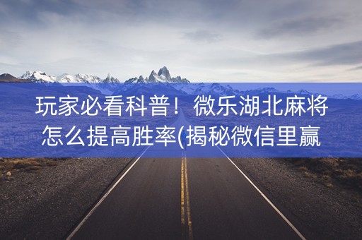 玩家必看科普！微乐湖北麻将怎么提高胜率(揭秘微信里赢的诀窍)