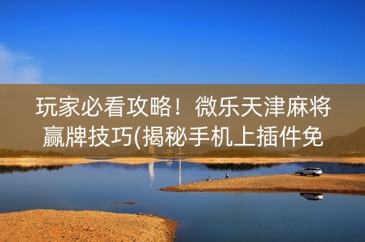 玩家必看攻略！微乐天津麻将赢牌技巧(揭秘手机上插件免费)