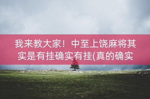 我来教大家！中至上饶麻将其实是有挂确实有挂(真的确实是有挂)