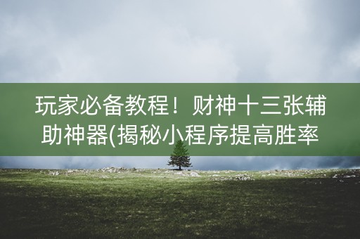 玩家必备教程！财神十三张辅助神器(揭秘小程序提高胜率)