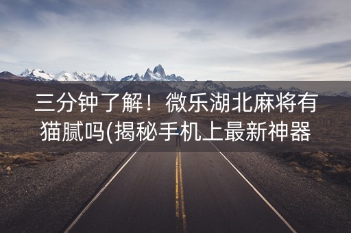 三分钟了解！微乐湖北麻将有猫腻吗(揭秘手机上最新神器下载)