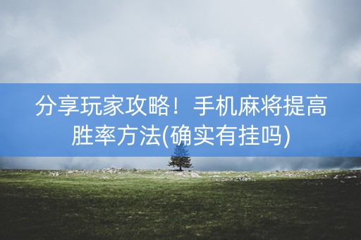分享玩家攻略！手机麻将提高胜率方法(确实有挂吗)