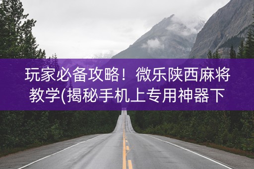 玩家必备攻略！微乐陕西麻将教学(揭秘手机上专用神器下载)