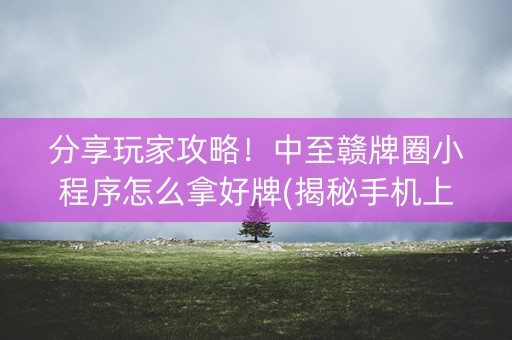 分享玩家攻略！中至赣牌圈小程序怎么拿好牌(揭秘手机上插件购买)