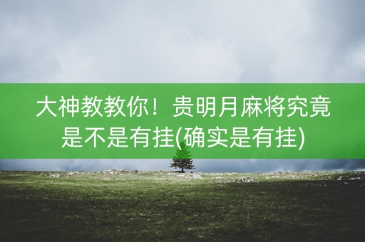大神教教你！贵明月麻将究竟是不是有挂(确实是有挂)