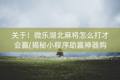 关于！微乐湖北麻将怎么打才会赢(揭秘小程序助赢神器购买)