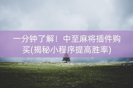 一分钟了解！中至麻将插件购买(揭秘小程序提高胜率)