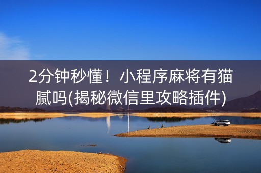 2分钟秒懂！小程序麻将有猫腻吗(揭秘微信里攻略插件)