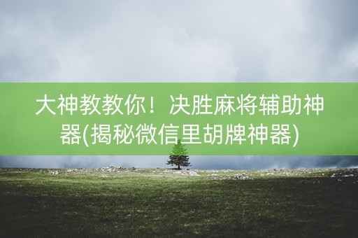 大神教教你！决胜麻将辅助神器(揭秘微信里胡牌神器)