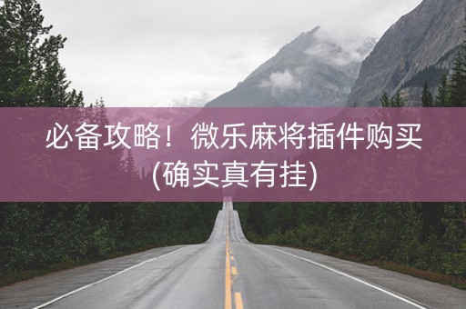 必备攻略！微乐麻将插件购买(确实真有挂)