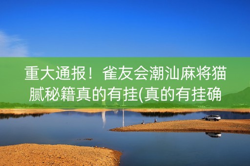 重大通报！雀友会潮汕麻将猫腻秘籍真的有挂(真的有挂确实有挂)
