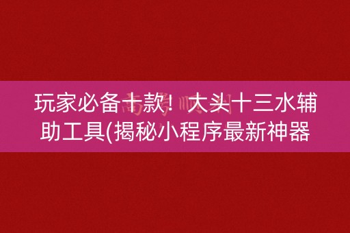 玩家必备十款！大头十三水辅助工具(揭秘小程序最新神器下载)