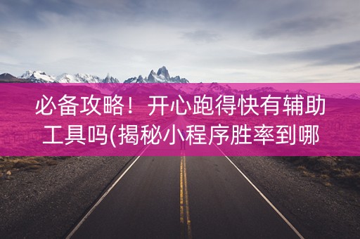 必备攻略！开心跑得快有辅助工具吗(揭秘小程序胜率到哪调)