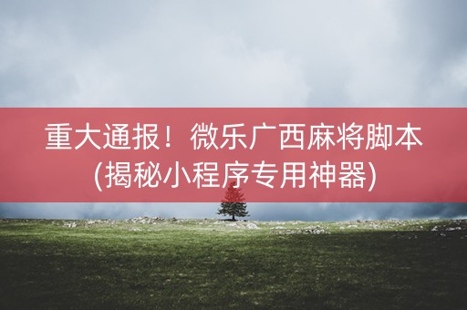 重大通报！微乐广西麻将脚本(揭秘小程序专用神器)