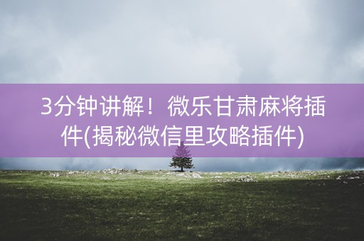 3分钟讲解！微乐甘肃麻将插件(揭秘微信里攻略插件)