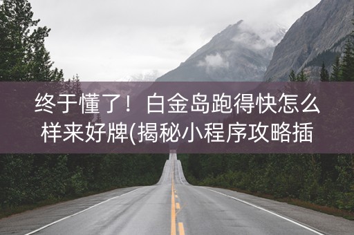 终于懂了！白金岛跑得快怎么样来好牌(揭秘小程序攻略插件)