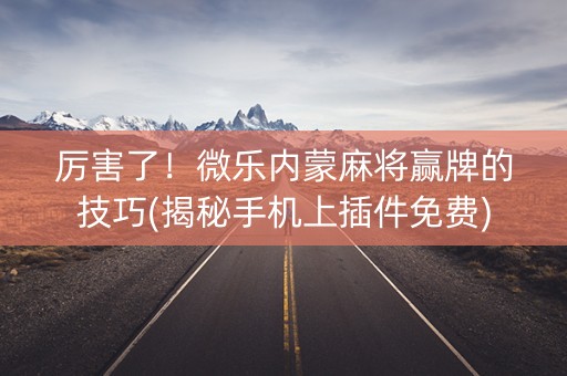 厉害了！微乐内蒙麻将赢牌的技巧(揭秘手机上插件免费)