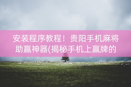 安装程序教程！贵阳手机麻将助赢神器(揭秘手机上赢牌的技巧)