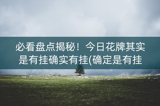 必看盘点揭秘！今日花牌其实是有挂确实有挂(确定是有挂)