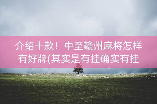 介绍十款！中至赣州麻将怎样有好牌(其实是有挂确实有挂)