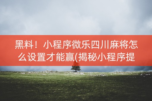 黑料！小程序微乐四川麻将怎么设置才能赢(揭秘小程序提高胜率)