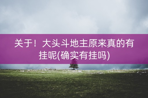 关于！大头斗地主原来真的有挂呢(确实有挂吗)