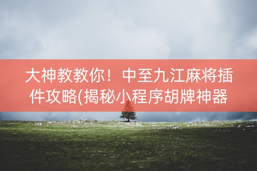 大神教教你！中至九江麻将插件攻略(揭秘小程序胡牌神器)