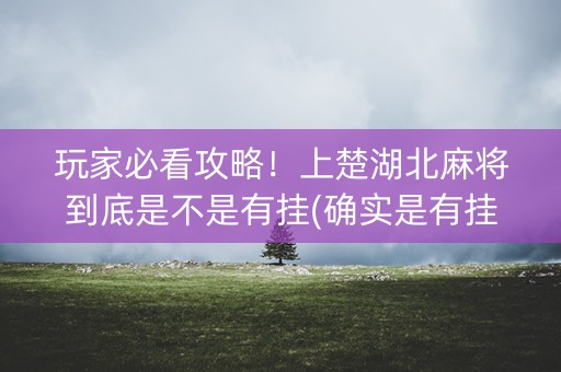 玩家必看攻略！上楚湖北麻将到底是不是有挂(确实是有挂的)