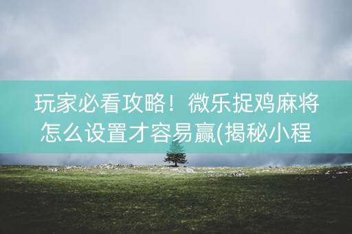 玩家必看攻略！微乐捉鸡麻将怎么设置才容易赢(揭秘小程序赢的诀窍)