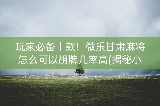 玩家必备十款！微乐甘肃麻将怎么可以胡牌几率高(揭秘小程序攻略插件)