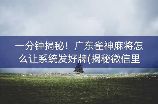 一分钟揭秘！广东雀神麻将怎么让系统发好牌(揭秘微信里输赢规律)