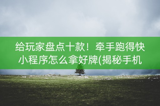 给玩家盘点十款！牵手跑得快小程序怎么拿好牌(揭秘手机上系统发好牌)