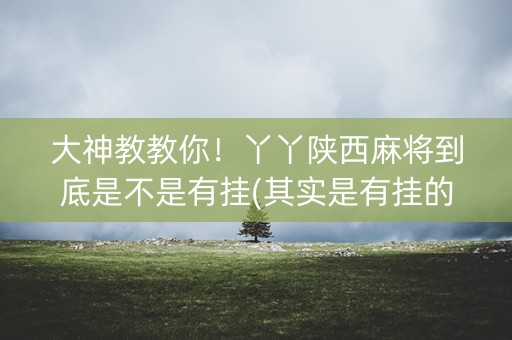 大神教教你！丫丫陕西麻将到底是不是有挂(其实是有挂的)