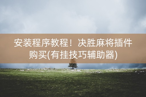 安装程序教程！决胜麻将插件购买(有挂技巧辅助器)