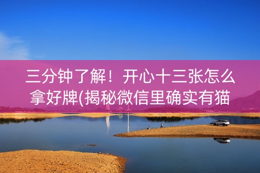 三分钟了解！开心十三张怎么拿好牌(揭秘微信里确实有猫腻)