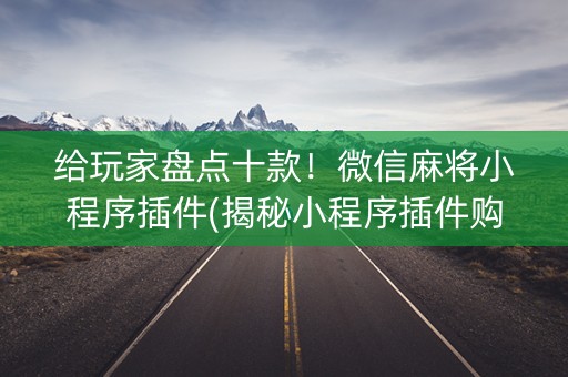 给玩家盘点十款！微信麻将小程序插件(揭秘小程序插件购买)