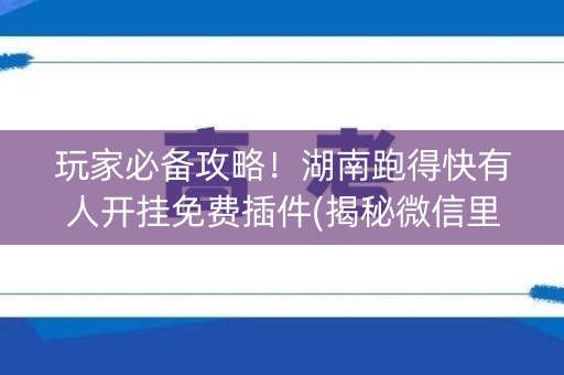 玩家必备攻略！湖南跑得快有人开挂免费插件(揭秘微信里提高胜率)