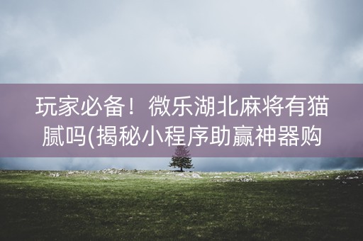 玩家必备！微乐湖北麻将有猫腻吗(揭秘小程序助赢神器购买)