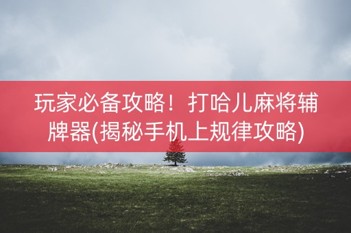 玩家必备攻略！打哈儿麻将辅牌器(揭秘手机上规律攻略)