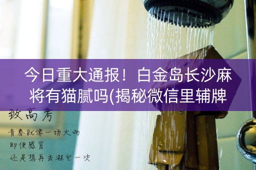 今日重大通报！白金岛长沙麻将有猫腻吗(揭秘微信里辅牌器)