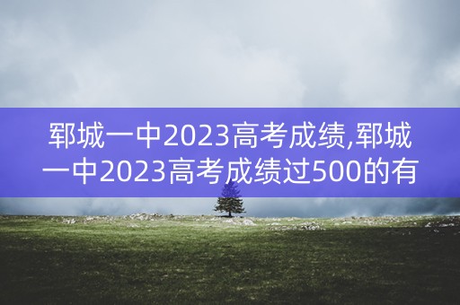 郓城一中2023高考成绩,郓城一中2023高考成绩过500的有多少人
