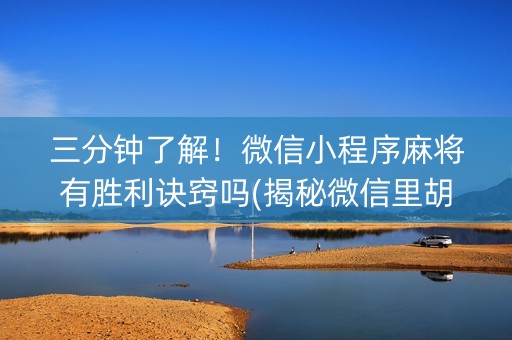 三分钟了解！微信小程序麻将有胜利诀窍吗(揭秘微信里胡牌神器)