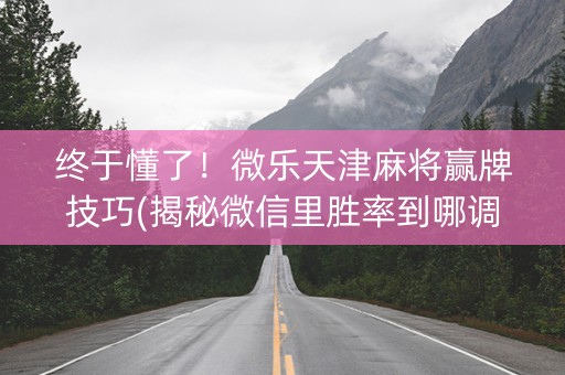 终于懂了！微乐天津麻将赢牌技巧(揭秘微信里胜率到哪调)