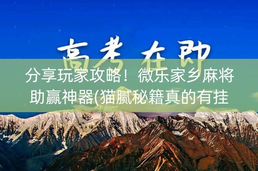 分享玩家攻略！微乐家乡麻将助赢神器(猫腻秘籍真的有挂)
